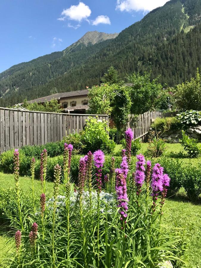 Apartments Schneiterhof - Der Frei-Raum Neustift im Stubaital Exterior photo